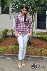 Sheena Shahabadi at Nuvve Naa Bangaram Press Meet